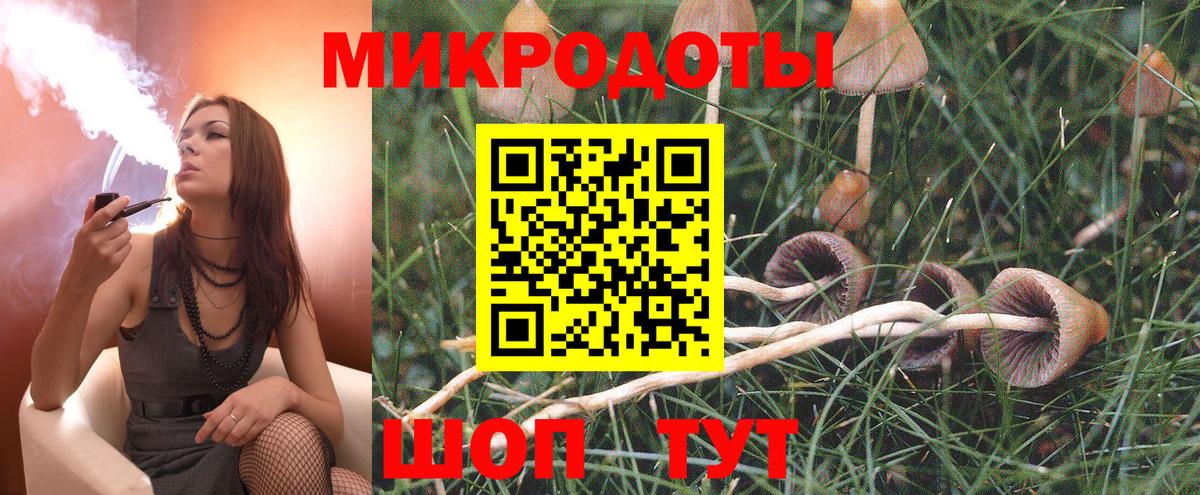 Псилоцибиновые грибы мухоморы Шадринск