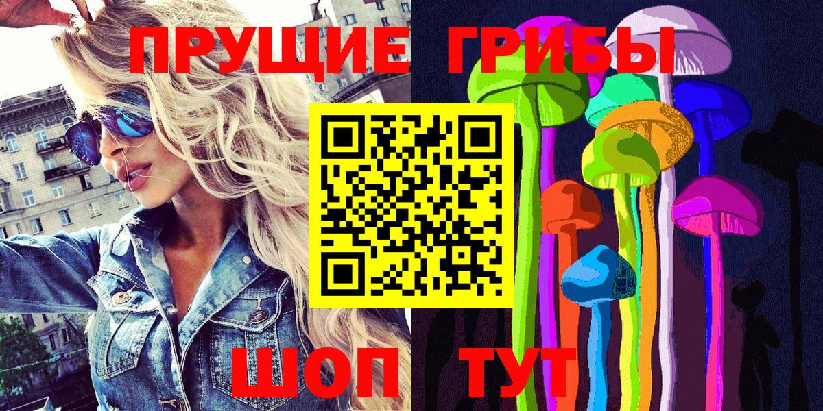 Шадринск  Псилоцибиновые грибы MAGIC MUSHROOMS  Вход с VPN 