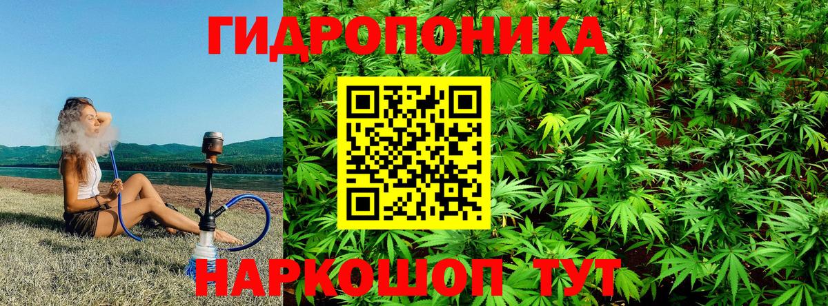 МАРИХУАНА LSD WEED  Бошки марихуана White Widow  Шадринск  Каннабис LSD WEED  Вход с VPN  МАРИХУАНА ГИДРОПОН 